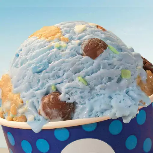 Baskin Robbins